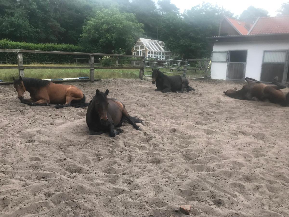 Alter Bahnhof Otersen Leilighet Kirchlinteln Eksteriør bilde